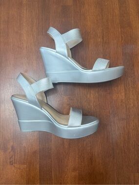 Metallic Silver Wedge Slingbacks